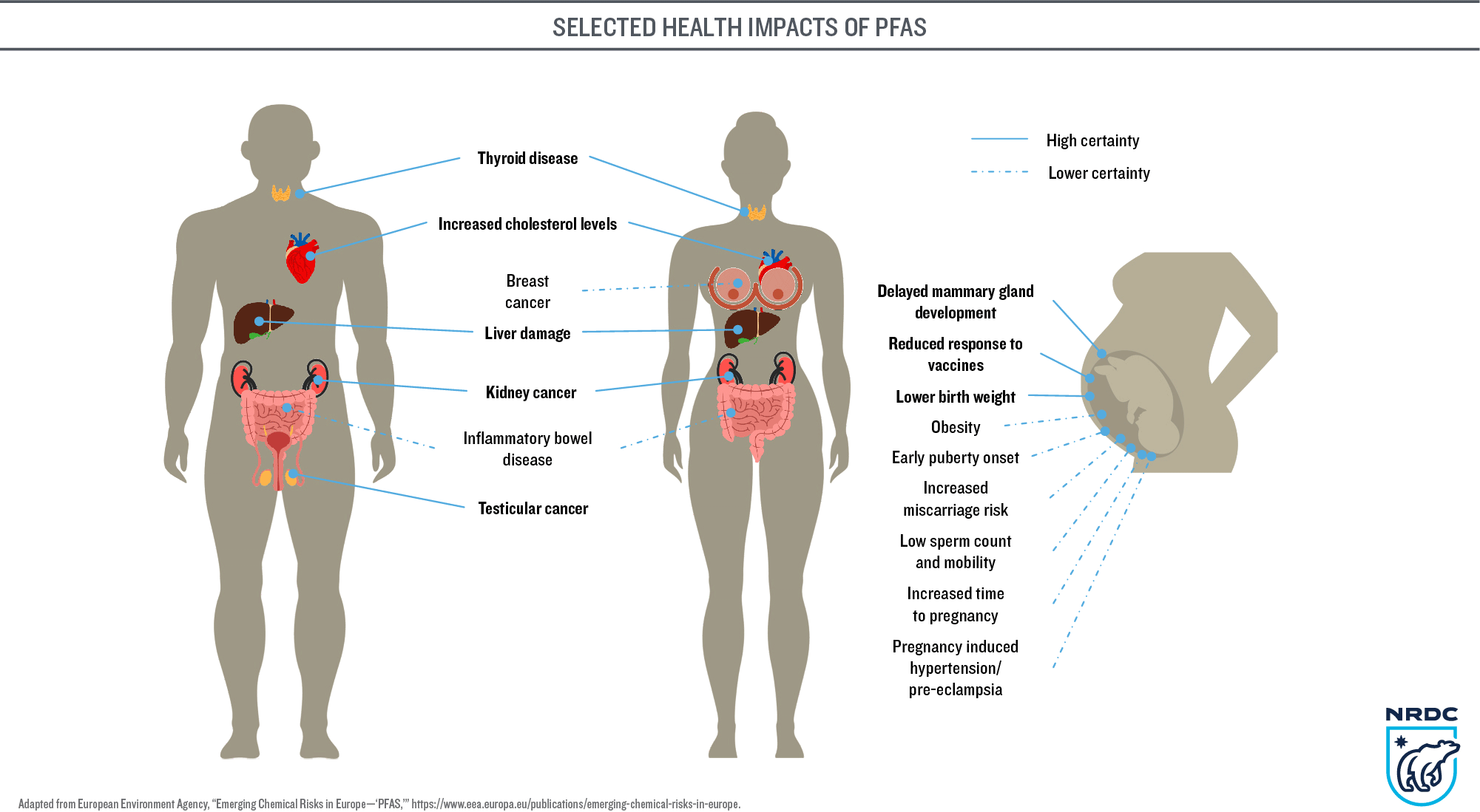 PFAS health effects diagram